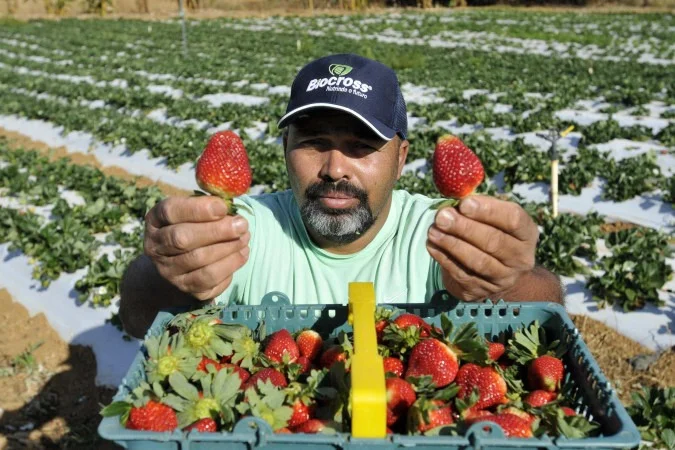 1_mj2807_14-57555881