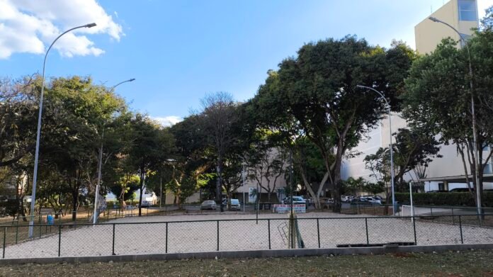 IMG_20250820_161311 (1)