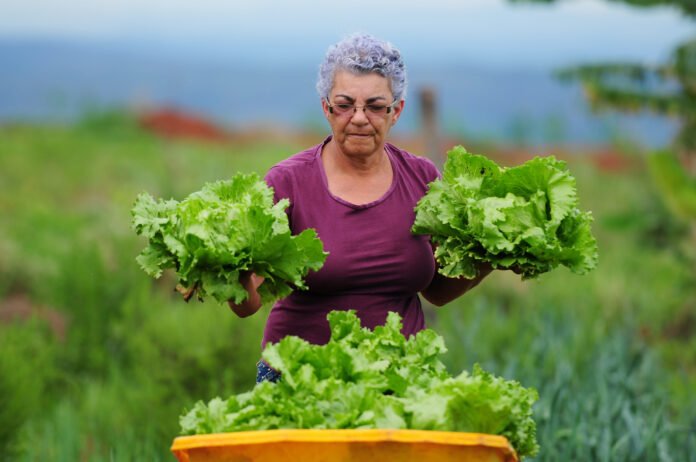 25.11. Conferência sustentável. Foto Divulgação Emater-DF