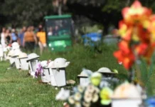 Cobranças abusivas e impasses no rito da despedida: serviços funerários acumulam denúncias
