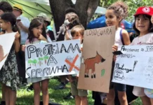 “A Serrinha é nossa”: ato reúne mais de mil pessoas em defesa da região