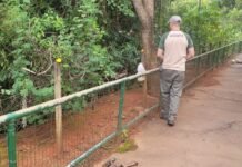 Agentes retiram 57 comedouros colocados por visitantes no Parque Ecológico de Águas Claras