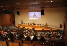 Voluntariado será tema da Conferência Distrital de Unidades de Conservação 2026