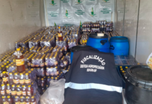 Operação HoneyPot apreende mais de 2,3 toneladas de mel irregular em Ceilândia