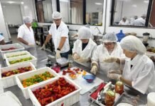 Curso apresenta alternativa de geração de renda com pimentas especiais