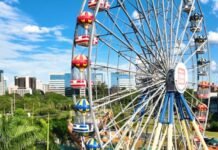 Acessibilidade em parques de diversões garante inclusão em momentos de lazer