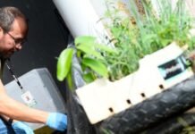 DF reforça combate à dengue antes das chuvas e aposta em novas tecnologias contra o mosquito