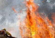Mesmo com chuva, DF registra 30 incêndios em vegetação neste domingo (27)